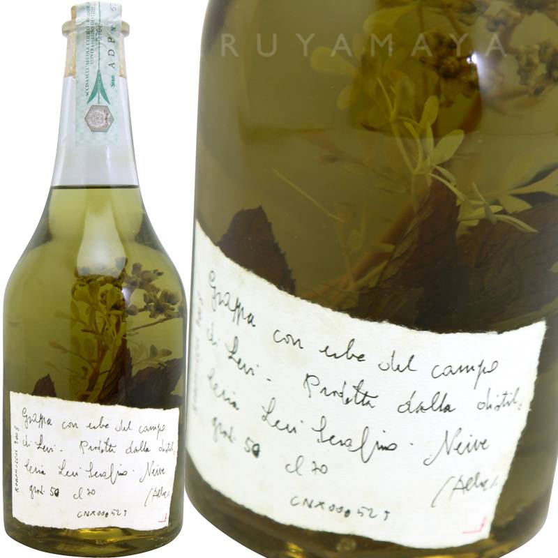 グラッパ （エルベ）【No.B】ロマーノ・レヴィ Romano Levi