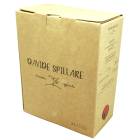 ӥ ͥ Хåܥå 3000ml [2023] ǡԥå  Davide Spillare  Bianco Veneto BIB