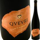 �ԥΡ����� ���������� [2016] ������󡦥С������Laurent Bannwarth Pinot Gris Kvevri