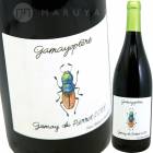 ���ȡ����֥륮�˥�󡦥��ᥤ���ɥ����ԥ��� [2019] ����ȥ��̡��ꥨ�ʥ��  Antoine Lienhardt  Coteaux Bourguignons Gamey du Pierrot