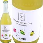 ���� [2021] �ȡ��ޥ����ˡ��ǥ�ޥ��䡼  Thomas Niedermayr  Summ