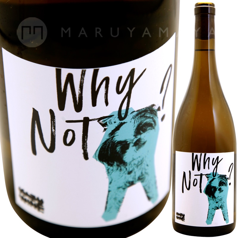 �ۥ磻���Υåȡ������ɥ� [2021] �������磻��  KAZU WINE  " WHY NOT?" CHARDNNAY