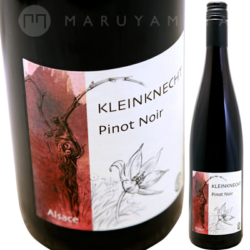ピノノワール [22&23] クラインクネヒト Kleinknecht Pinot Noir