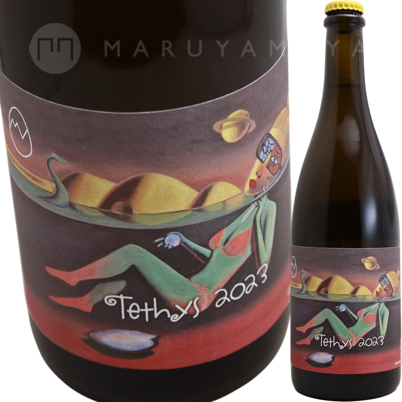 �ƥƥ���  [2023] �ޥ�ƥ��󡦥���������ͥ�  Martin Vajcner  Tethys