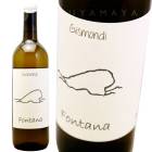 �ե��󥿡��� [2023] �������ǥ�  Gismondi Fontana