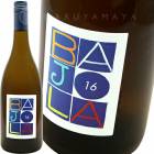 �ӥ��󥳡��ե��åꥡ [2017] �Х����  Baijola  Bianco Foglia