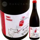 ȥե [2021] ɥ᡼̡ɡ󡦥ԥʥե֥ꥹɥ  Saint Pierre (Fabrice Dodane)  Tout Facile