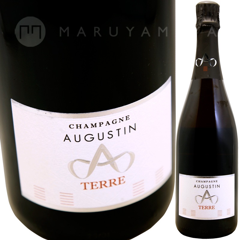 テール [2020] オーギュスタン Augustin Terre | スパークリング