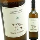 󥴡ޥåĥ [2020] 󥿡ƥ꡼  Santa Caterina  L M