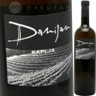 ���ץ�� [2020] ���ߥ��󡦥ݥɥ����륷�å�  Damijan Podversic  Kaplja