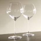 ǥ 磻󥰥饹(2) &  1000ml [2009] ǥΥå  Radikon Bicchiere & Wine SET