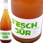 奷塼 [2021] ꥹ󡦥ӥ͡  Christian Binner  S'esch Sur