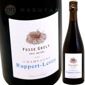 ѥԥ [2017] ڡ롦  Ruppert Leroy  Papillon