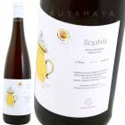 ե [2020] ƥʡǥ  Cantina Giardino  Sophia