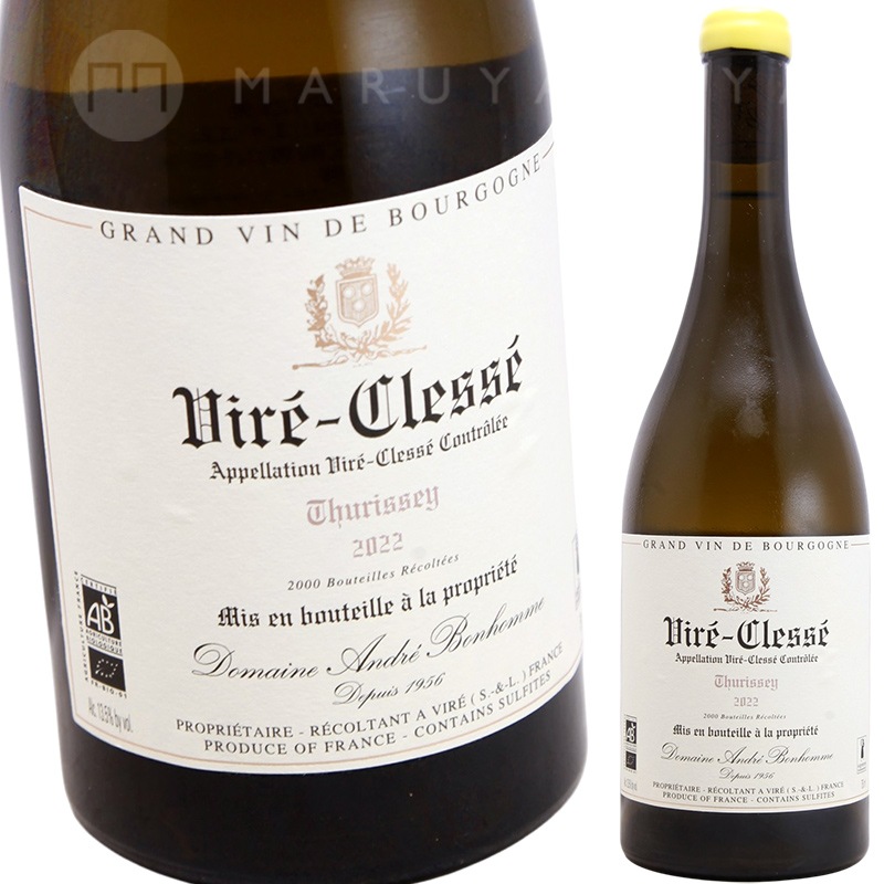 1900s franceクリサンセマムの密集とレースドロワーズ アンティーク ヴィレ・クレッセ チュリセ [2022] アンドレ・ボノム Andre Bonhomme