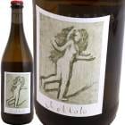 åȥ [2023] եǥե  FAEDESFA  MOTTOLO