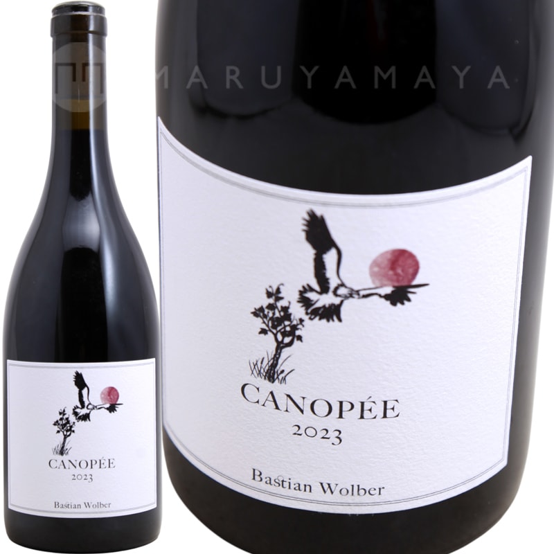 ブルゴーニュ・コート・ドール・キャノぺ [2023] バスチアン