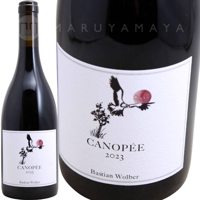 ブルゴーニュ・コート・ドール・キャノぺ [2023] バスチアン