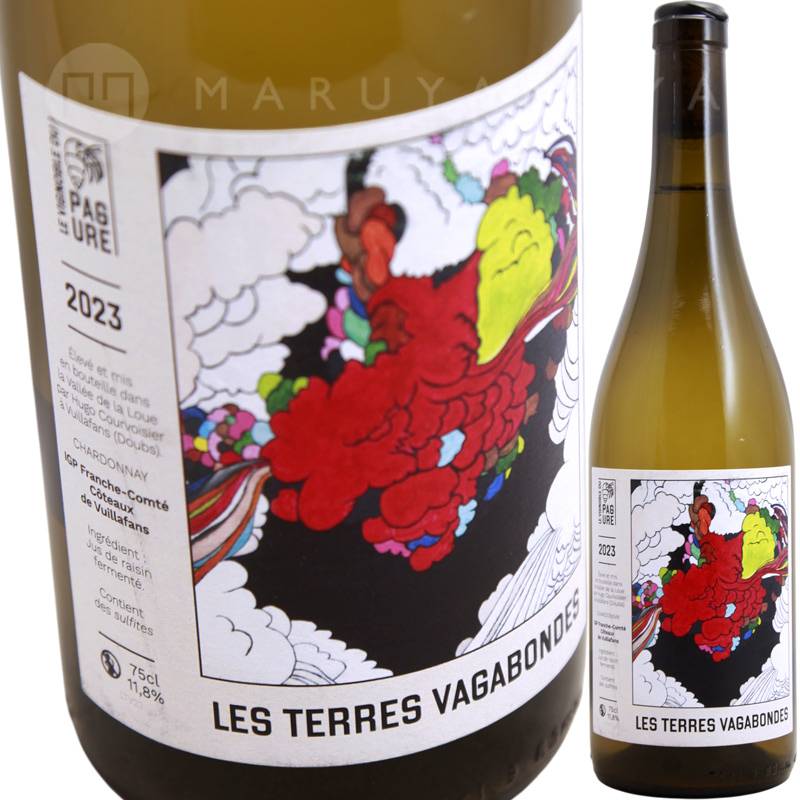 テールドシエル　ル　ヴァン　750ml 2023 テールドシエル