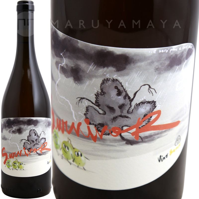 �������������� �ӥ��� [2023] �ѡ��ͥ�������  Panevino  Survivor Bianco(L.B23)