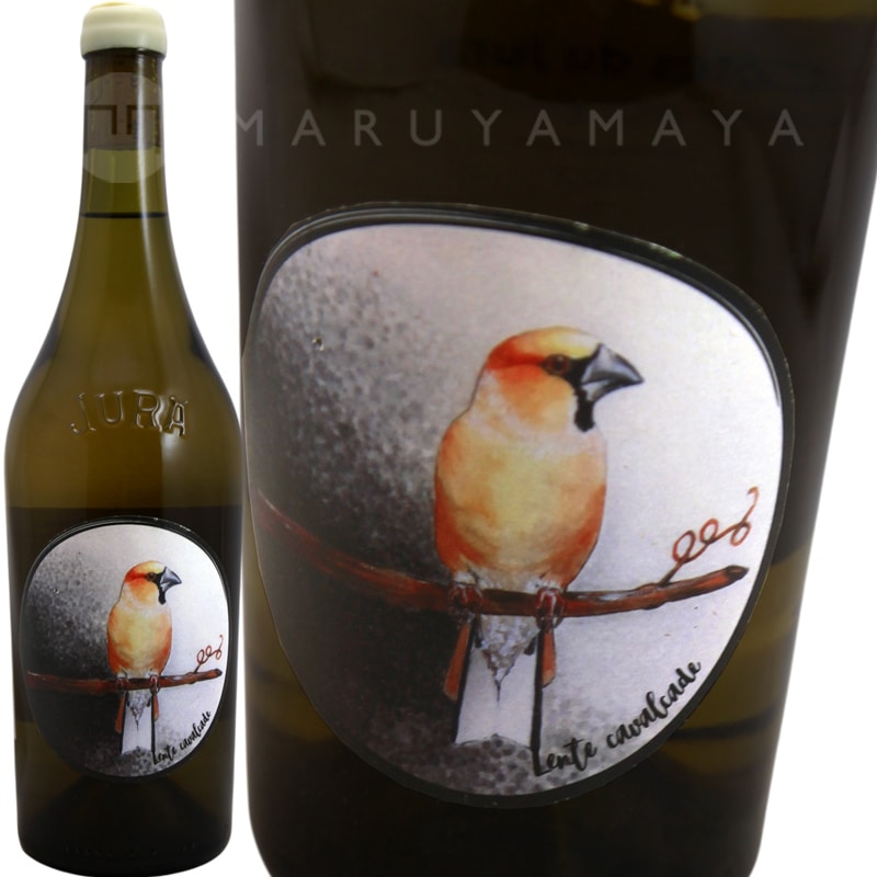 ����ȥ�����������륭��� [2022] �������⥢  Oxymore  Lente Cavalcade 