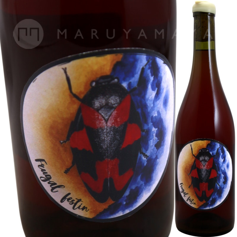 �ե롼���롦�ե������� [2023] �������⥢  Oxymore Silence Eloquent