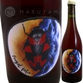 �ե롼���롦�ե������� [2023] �������⥢  Oxymore Silence Eloquent