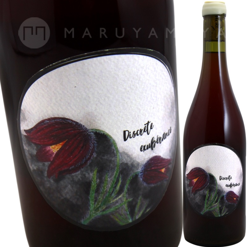 �ǥ�������åȡ��������塼�٥�� [2024] �������⥢  Oxymore Saine Folie