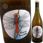 �����䡼���塦�����ӥ� [2023] �������⥢  Oxymore Voyage Immobile