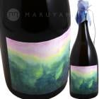 �������� �ե�åĥ���� 