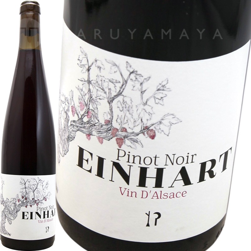 �ԥΡ��Υ�� [2024] ������ϡ���  Einhart Pinot Noir