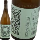 �����ڥꥨ�󥷥����ѥ��㡼�� [2024] ���������������󥳥�  Succes Vinicola  Experiencia Parellada