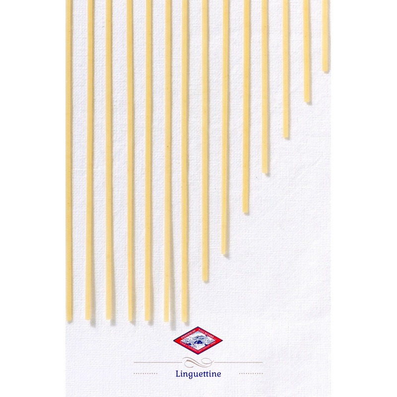 ��󥰥��͡�500g�˥�����  Setaro Linguine