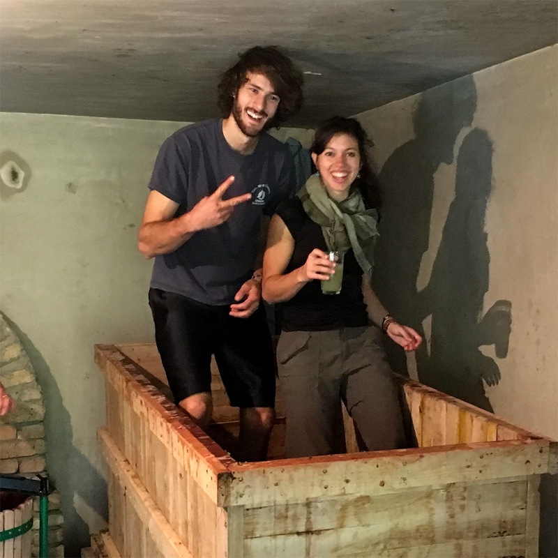 �ƥȥ��ꥹ [2023] ��ѥƥ����磻�󥺡ʥ���ꥢ���  Lapati Wines (Julien)  Tetris