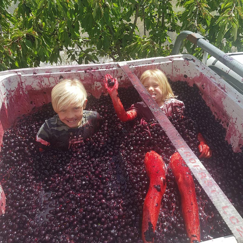 ̵�����ʤ��Ǥ͡� [2023] �䥦��  Jauma  Murishinaidene!