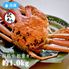 ［冷蔵］浜茹で／訳あり／松葉がに／2～3杯入／約1kg詰め合わせ