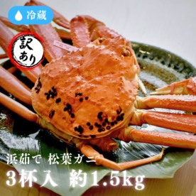 ［冷蔵］浜茹で／松葉がに／訳あり／３杯入り／（約1.5kg）／約400～500g
