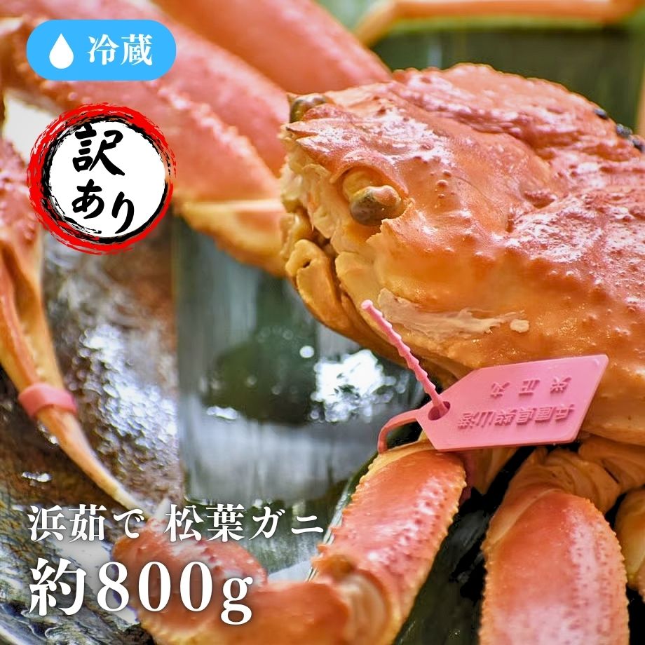 ［冷蔵］【兵庫県産】浜茹で／訳あり／松葉がに／大サイズ 約800g／1杯