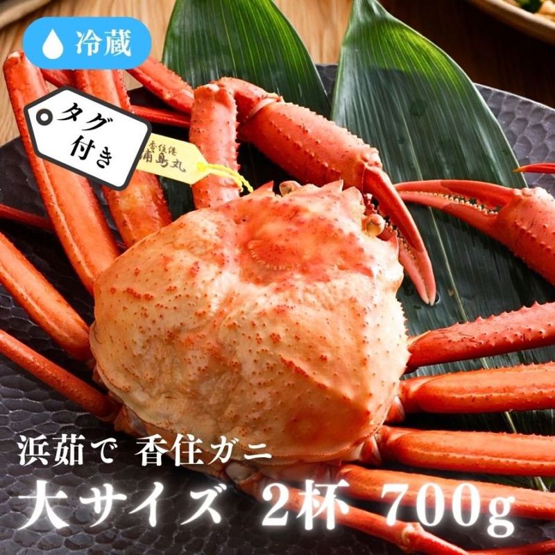 ［冷蔵］【香住ガニ】浜茹で／タグ付／大サイズ／2杯／(約700g以上×2杯)