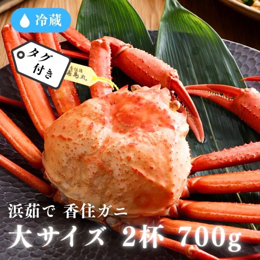 ［冷蔵］【香住ガニ】浜茹で／タグ付／大サイズ／2杯／(約700g以上×2杯)