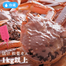 ［冷蔵］【香住産】松葉ガニ／活け／鮮度抜群／1kg以上／贈答用・ご自宅用にも最適