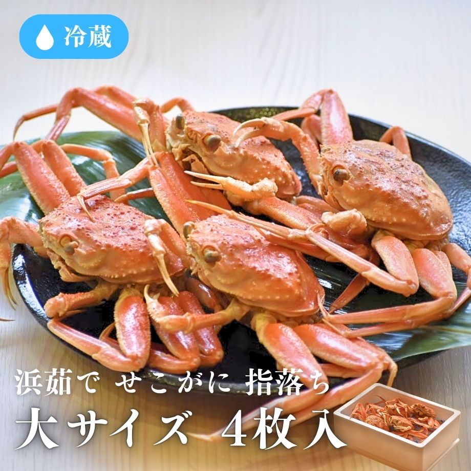 [冷蔵]【兵庫県産】浜茹で／せこがに／大サイズ／指落ち／4杯入（約150g×4）