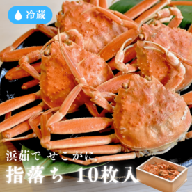 [冷蔵]【兵庫県産】浜茹で／せこがに／指落ち／１０枚入
