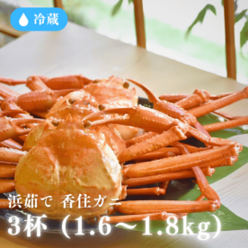 ［冷蔵］【香住ガニ】浜茹で／３杯入り／(500~600ｇ×3)