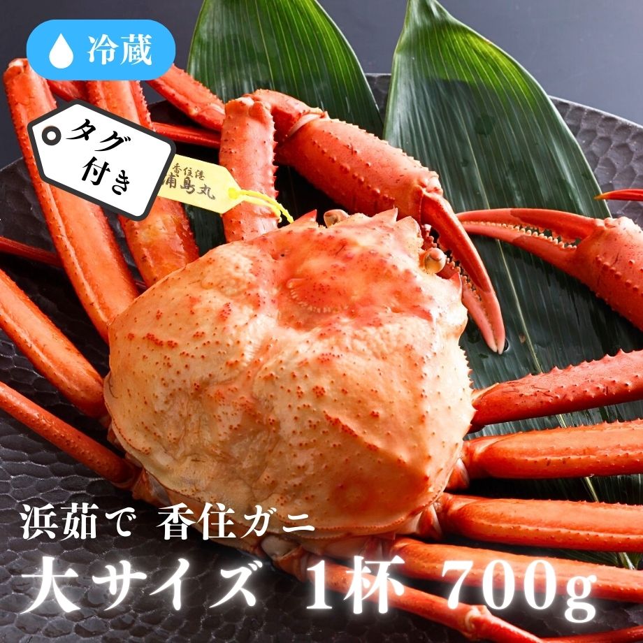 冷蔵］【香住ガニ】浜茹で／タグ付／大サイズ／1杯／(約700g