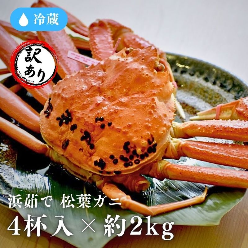 ［冷蔵］浜茹で／松葉がに／訳あり／4杯入り／（約2.0kg）／1杯約400～500g