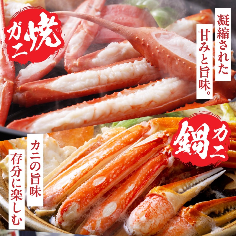 ［冷凍］【香住ガニ】甲羅味噌付／大サイズ２杯分／約800～900g／焼きがに・かにすき／かにすき出汁付