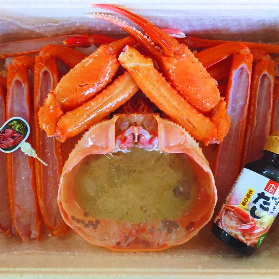 ［冷凍］【香住ガニ】甲羅味噌付／活〆／特大サイズ１杯分／約900～１kg級以上使用／かにすき出汁付