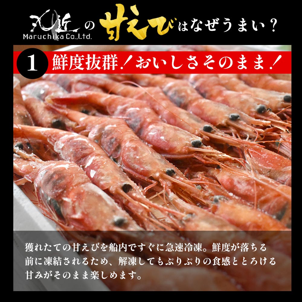 ［冷凍］【兵庫県産】甘えび／大サイズ・30～40尾入り・約700g／ぷりぷり／鮮度抜群／お中元・お歳暮にも！
