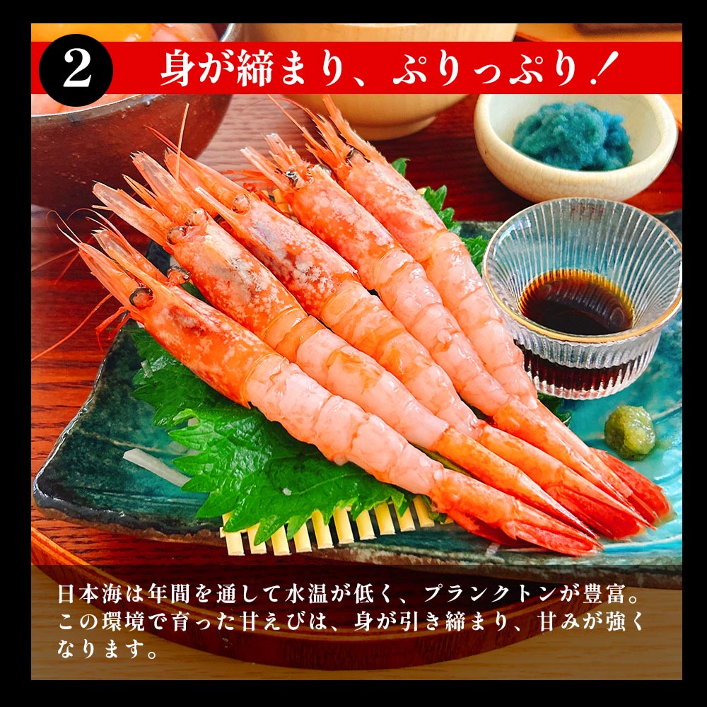 ［冷凍］【兵庫県産】甘えび／大サイズ・30～40尾入り・約700g／ぷりぷり／鮮度抜群／お中元・お歳暮にも！
